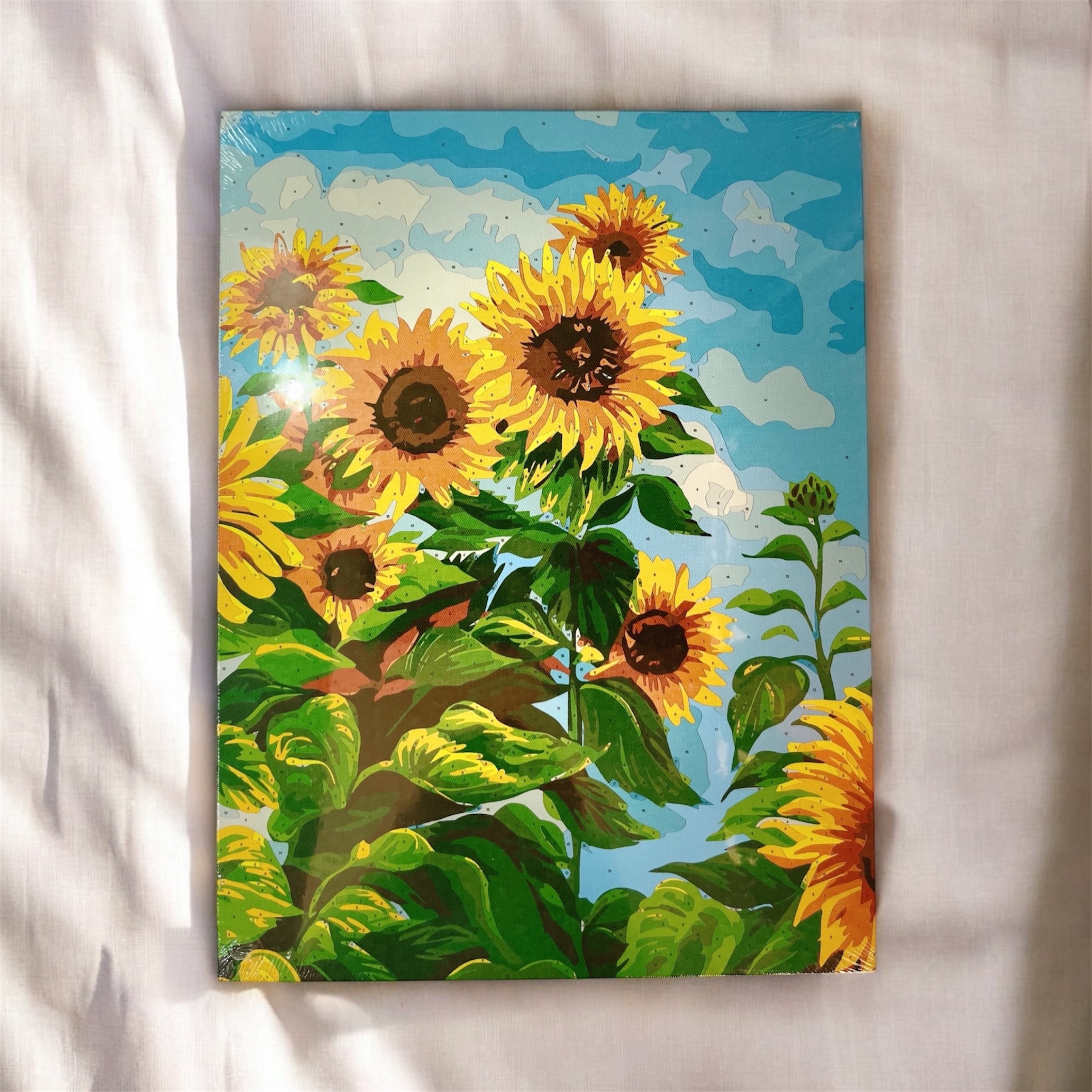 بوم نقاشی 30 *40