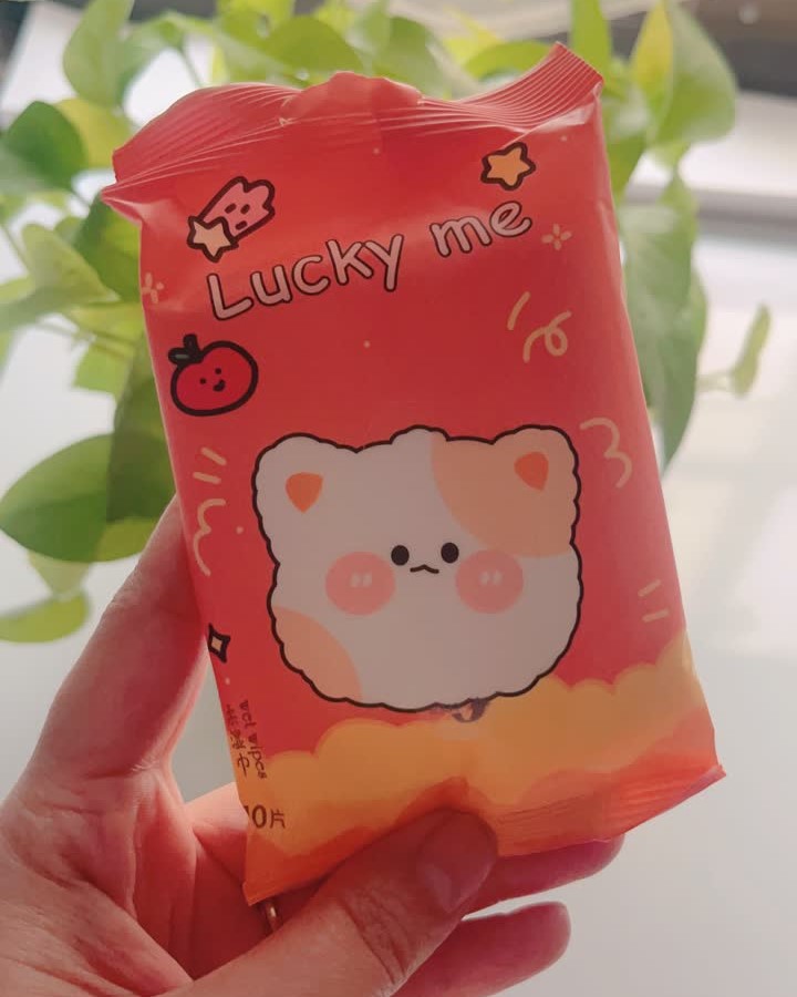 دستمال مرطوب پینترستی